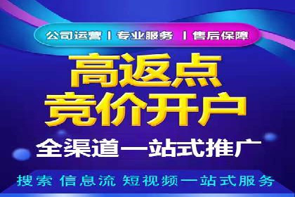 揭秘百度竞价代理：实战案例分析